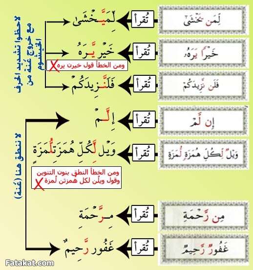 مادة القرآن والتجويد (( دفعة سودة بنت زمعة رضي الله عنها )) الترم الأول 14247631869031