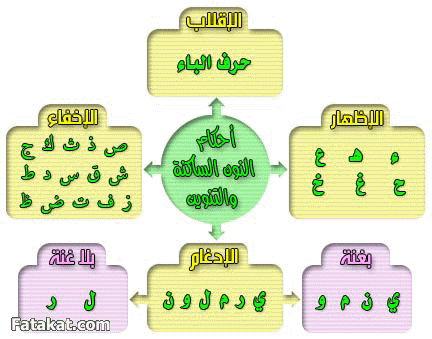 مادة القرآن والتجويد (( دفعة سودة بنت زمعة رضي الله عنها )) الترم الأول 14259038293008