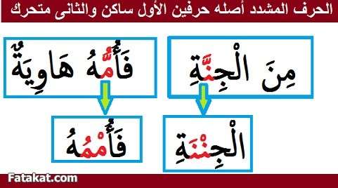 مادة القرآن والتجويد (( دفعة سودة بنت زمعة رضي الله عنها )) الترم الأول 14265203099730