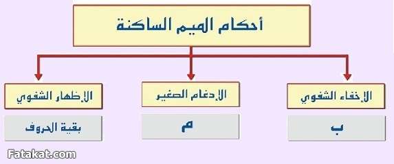 مادة القرآن والتجويد (( دفعة سودة بنت زمعة رضي الله عنها )) الترم الأول 14271121203544