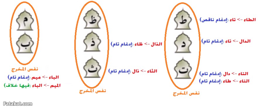 مادة القرآن والتجويد (( دفعة سودة بنت زمعة رضي الله عنها )) الترم الأول 14319878416158