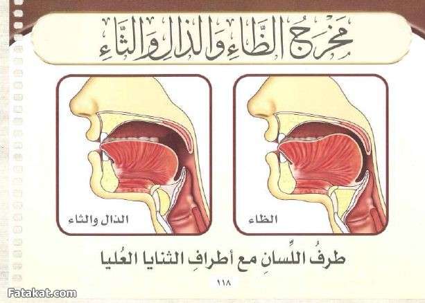 مادة القرآن والتجويد ((دفعة جويريةرضي الله عنها)) الترم الثانى 14531064602280