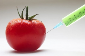 La Transfusion Sanguine est Devenue Dangereuse Tout est dans la Manipulation des Gènes Les Aliments Génétiquement Modifiés font le Reste Les Gouvernements Mentent au Public surSécurité des Vaccins La Mafia Médicale Sape Système Immunitaire pour TUER  Gen-food-300x199