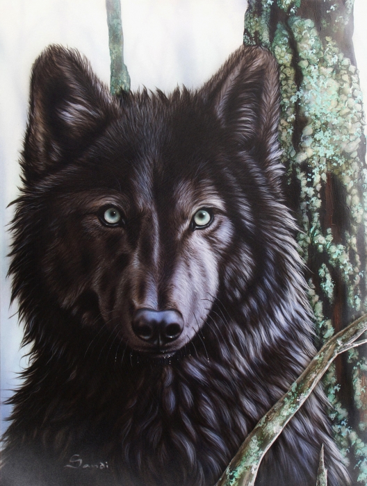 Your Wolf Pics - Page 6 1-black-wolf-sandi-baker