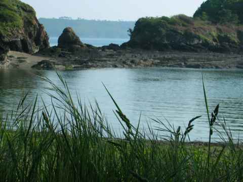 Vive la Bretagne  libre !!!!!!!!!!!!!!!!!!!!!  Logonnadaoulasphoto193