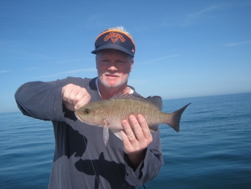 SW FL-Bonita Beach: Battling winds and tides, but catches are good! MikeConnors16Mang%20(365x274)