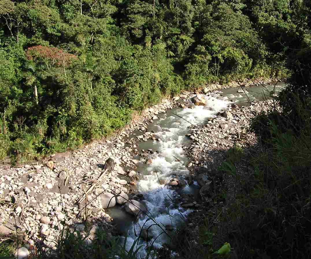 Creek Pictures Manu_mountain_stream