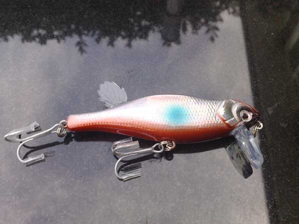 Lucky Lures??? Upside_fish