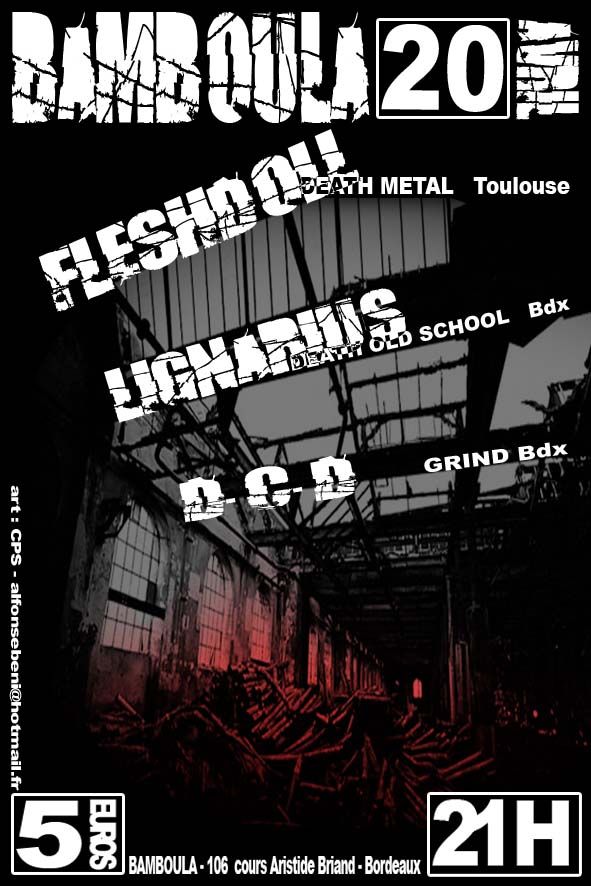 FLESHDOLL / LIGNARIUS / D.C.D. @ Bordeaux 20 Avril 2K7 Fly_20avril07