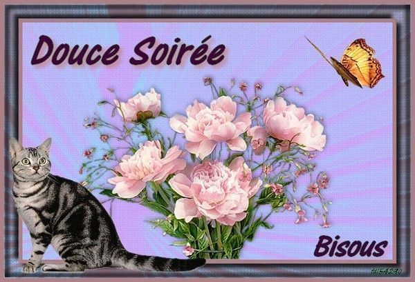 Ƹ̵̡Ӝ̵̨̄Ʒ ♥ Bonjour...Bonsoir...Quoi de neuf??? ♥ Ƹ̵̡Ӝ̵̨̄Ʒ . - Page 2 6ffcf829