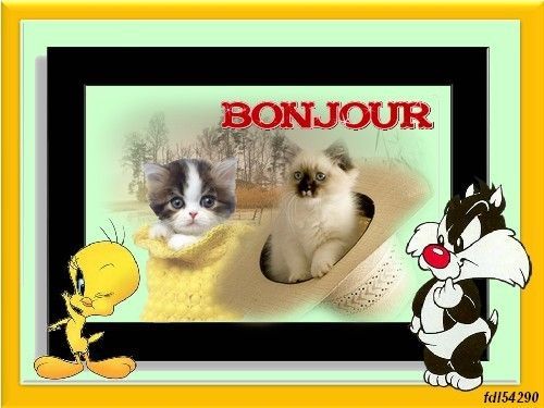 Ƹ̵̡Ӝ̵̨̄Ʒ ♥ Bonjour...Bonsoir...Quoi de neuf??? ♥ Ƹ̵̡Ӝ̵̨̄Ʒ . - Page 2 8f112e61