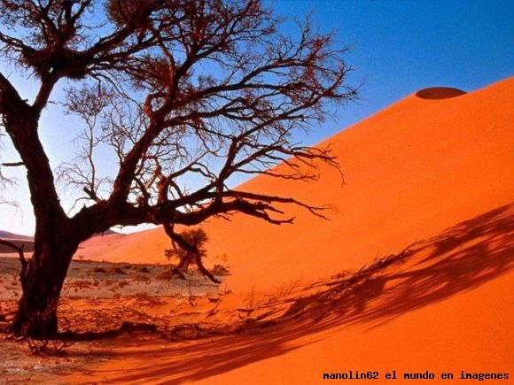 Paisajes del Desierto 111