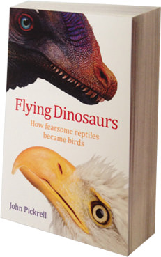 Palaeowins Mk. II Flying-dinosaurs-book