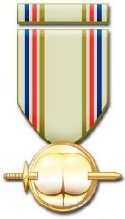 'Pain in the Ass' medal and ribbon PainMedal01