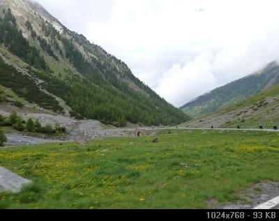 Bormio KLE meeting 3.-5.06.2011. 7C77C2C0-96A6-CB4E-83A5-AC09CDB1C61E_thumb