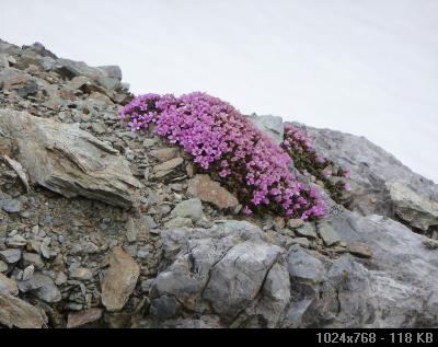 Bormio KLE meeting 3.-5.06.2011. D19119E4-9306-DB40-81CB-638A3B4831D0_thumb