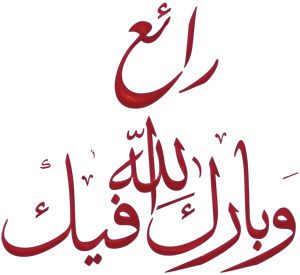 اختبار في اللغة العربية للسنة الثالثة ابتدائي Thanks06