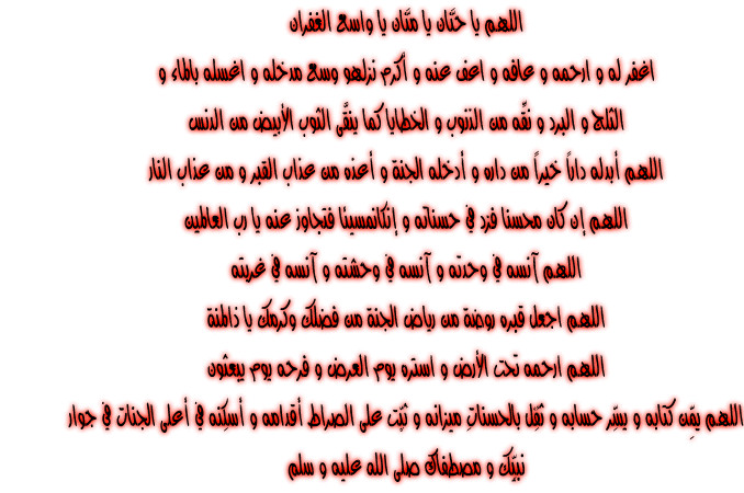  - الدعاء لوالدي سليمان يوسف الجالودي بالمغفرة والرحمة - صفحة 3 Hwaml.com_1294269440_843