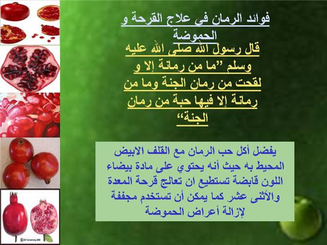 طعام الرسول صلى الله عليه وسلم بالصور Hwaml.com_1317455811_620