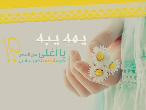 مدونتي خااصه بـ  (هلاليه ملكيه20)^^ Hwaml.com_1337778860_840