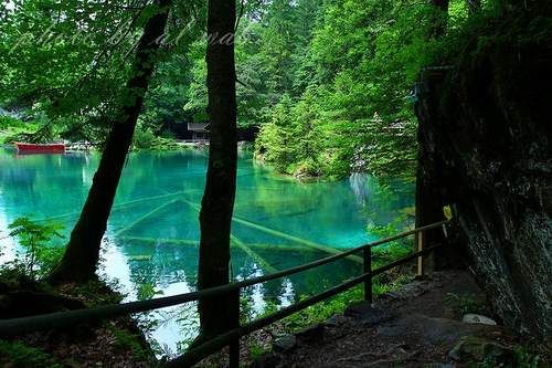 بحيرة blausee 2013 - صور بحيرة الدموع 2012 - السياحة فى بحيرة الدموع الرائعة 2013 Hwaml.com_1338428218_220