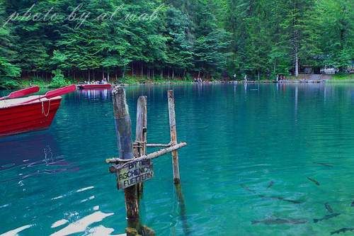 بحيرة blausee 2013 - صور بحيرة الدموع 2012 - السياحة فى بحيرة الدموع الرائعة 2013 Hwaml.com_1338428218_488