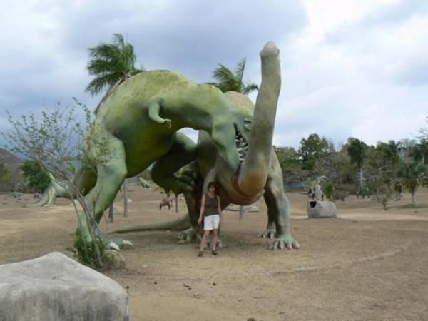 حديقة الديناصورات - السياحة فى حديقة الديناصورات - مدينة ديياجو الرائعة  Hwaml.com_1338574479_548