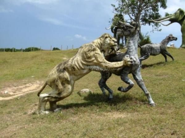 حديقة الديناصورات - السياحة فى حديقة الديناصورات - مدينة ديياجو الرائعة  Hwaml.com_1338574480_239