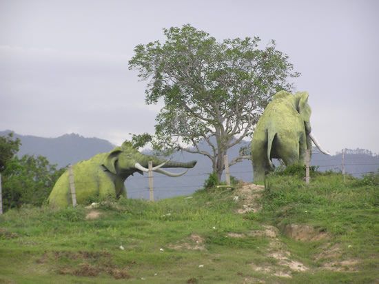 حديقة الديناصورات - السياحة فى حديقة الديناصورات - مدينة ديياجو الرائعة  Hwaml.com_1338574480_747