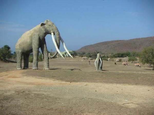 حديقة الديناصورات - السياحة فى حديقة الديناصورات - مدينة ديياجو الرائعة  Hwaml.com_1338574480_791