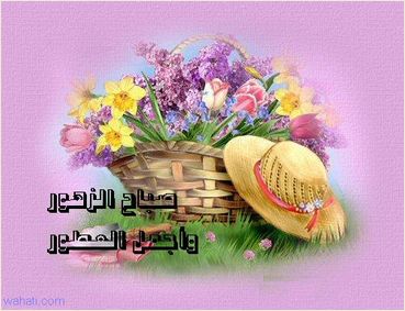 لمن سوف تهدي هذه العباره الحقووووووو............................ Post-68-1086261218