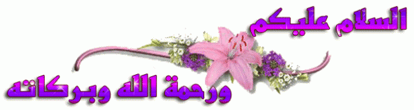   تهنئة بشهر رمضان الكريم 6351c07d89bfa03c1437a3e4e2dbbdb5