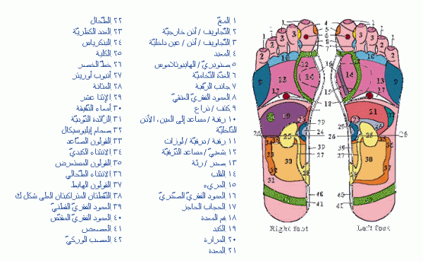 عالج نفسك بقليل من التدليك لليد والقدم (الطب البديل)  9165f42a7930abf4b67e2765fdf809cd