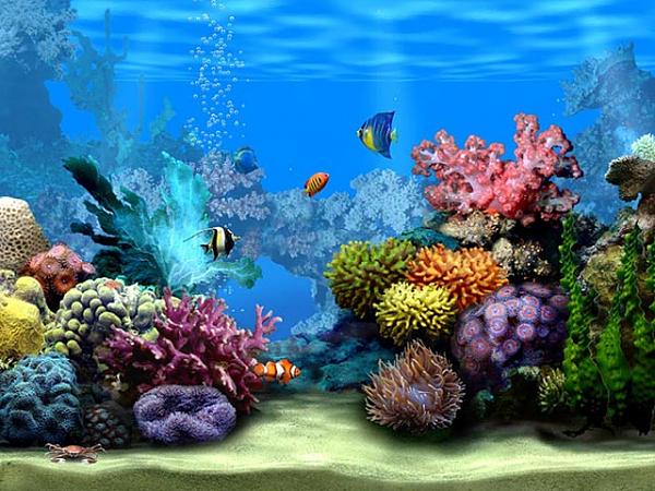 شاشة توقف 3D Desktop Aquarium 9dcc705f8d290445e343e98490648f67