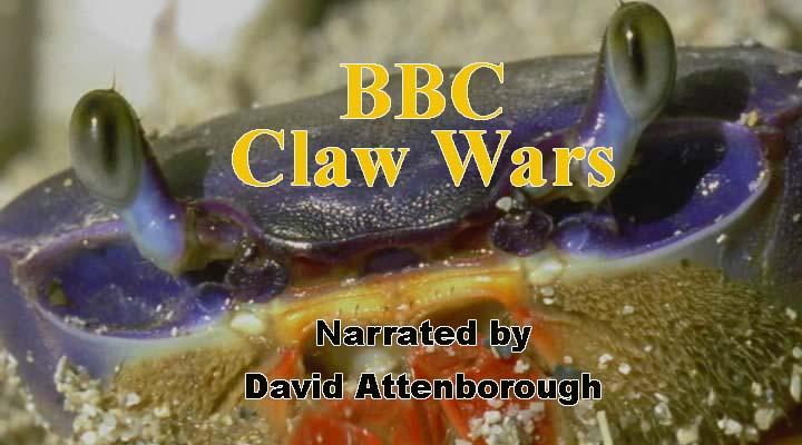      Bbc Claw.Wars