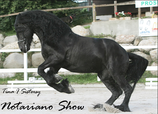 Notariano Show[Sav.~Fryziuk~] 17e31fdsf2