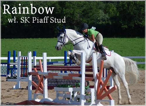 Rainbow (sav. Drymma) Rainbowka2baa67fr4