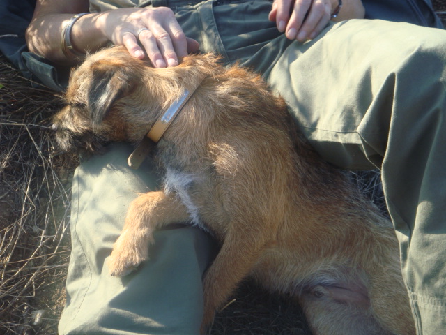 premières journées de chasse 08.15