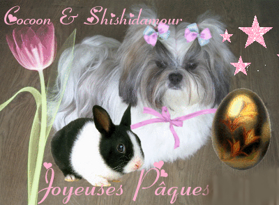 Mes petits montages ! 02.290