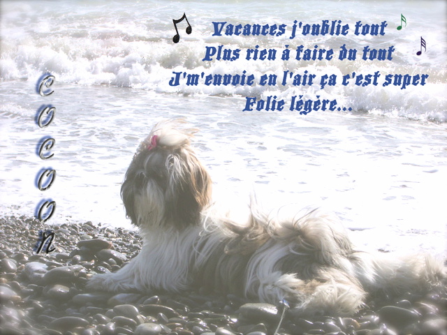 Mes petits montages ! 02.294