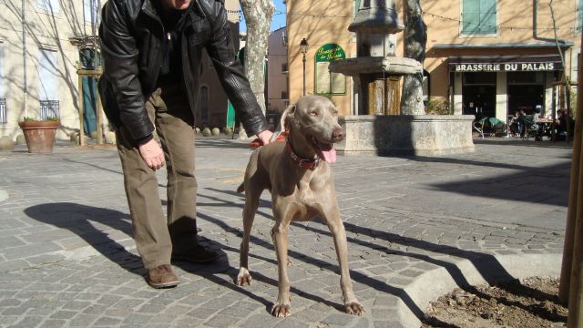 Bandit : jugement à Béziers ! 14h 3fev 03.158