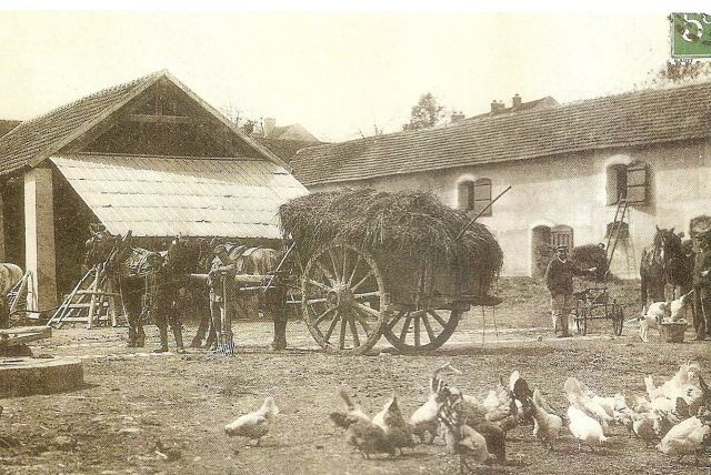 cour de ferme 22.65