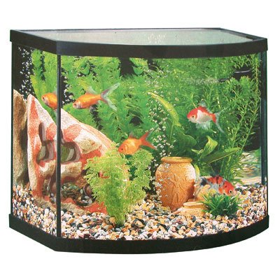 Vend/Echange aquarium35L 05.141