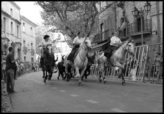 Uzes - Concours d'abrivado 2010 19.91