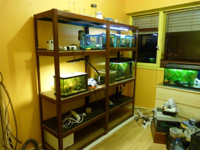 Notre fish-room 06.393