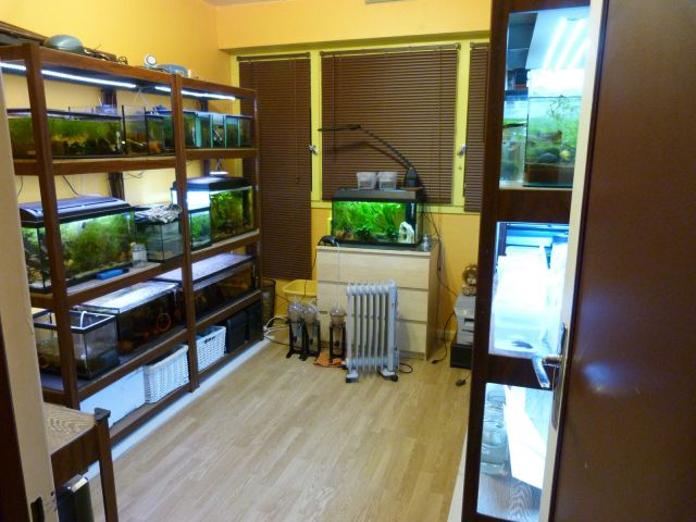 Notre fish-room 16.287