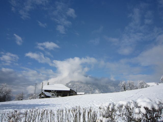 Zut, ça neige !!! 19.91