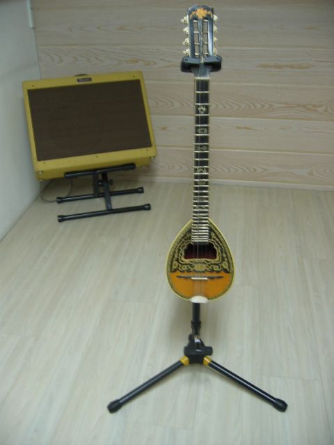 [Achat] Guitare 12.258