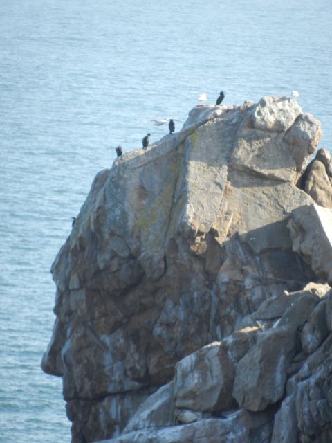 Le peuple de la roche 13.27