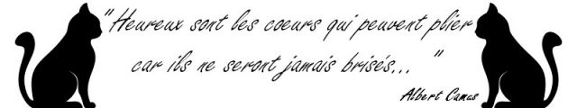 un peu d'aide pour un nouveau 01.1